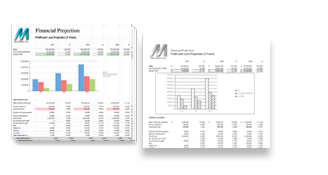 LeanPrint with an Excel Spreadsheet