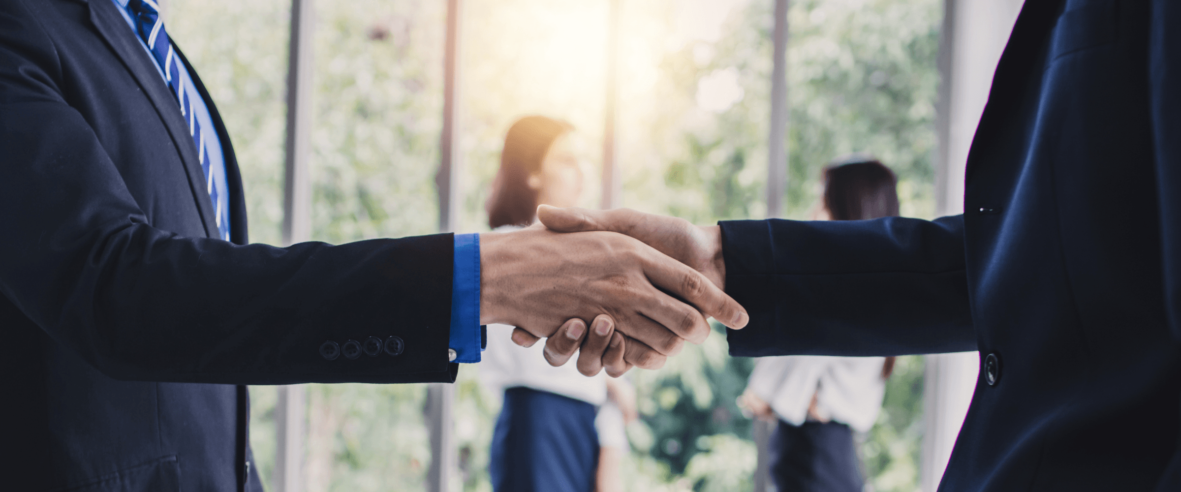 Business partner shaking hands