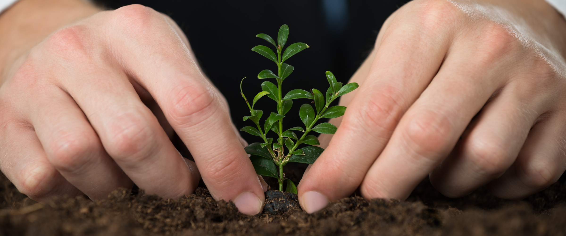 How Managed Print Services Help Save the Environment - Toshiba