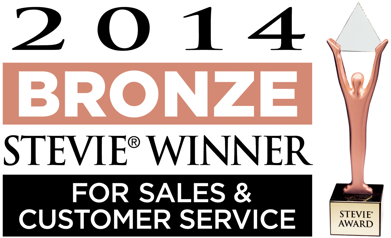 The American Business Awards Bronze Stevie