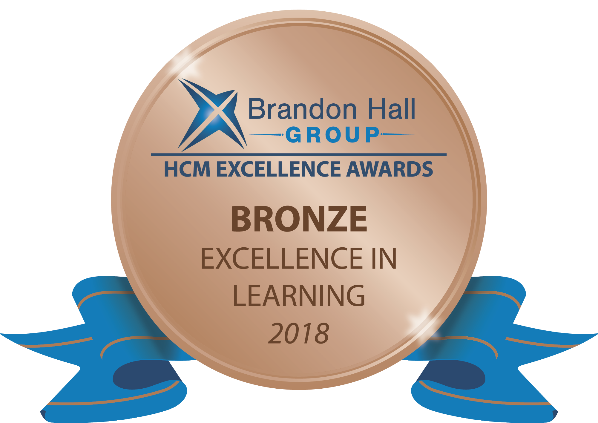 Brandon Hall Excellence Award