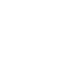 Document Conversion Services